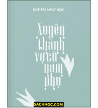 Xuyên Thành Vợ Cũ Nam Phụ